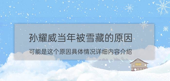 孙耀威当年被雪藏的原因 可能是这个原因具体情况详细内容介绍